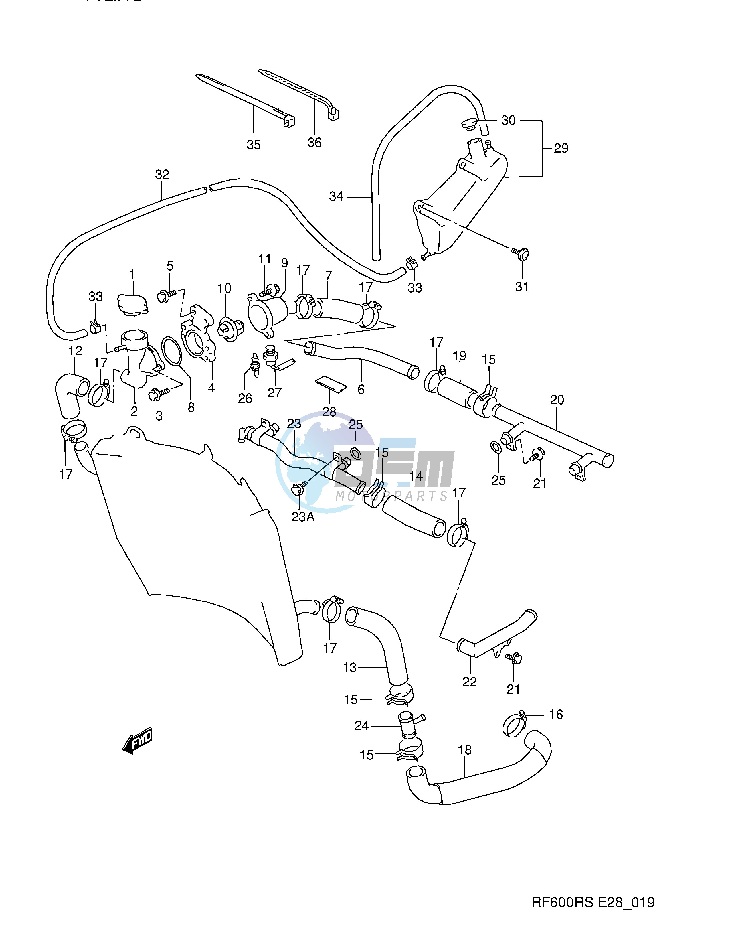 RADIATOR HOSE