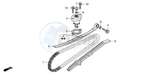 NVS503SH 502 drawing CAM CHAIN/TENSIONER