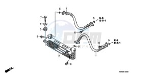 TRX250TMA U drawing OIL COOLER