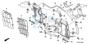 CRF450X9 Europe Direct - (ED) drawing RADIATOR