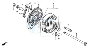 VT750DC SHADOW drawing REAR BRAKE PANEL