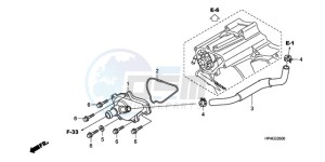 TRX420TMA Europe Direct - (ED / 2WD) drawing WATER PUMP COVER