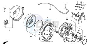 TRX350FM RANCHER 4X4 drawing REAR BRAKE PANEL