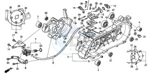 SFX50 drawing CRANKCASE/OIL PUMP