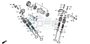 TRX300EX SPORTRAX drawing CAMSHAFT/VALVE