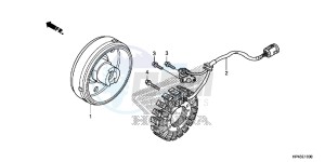 TRX420TMD TRX420 Europe Direct - (ED) drawing GENERATOR