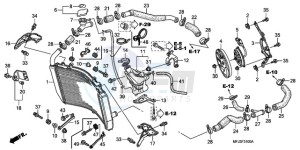 CBR600RAA BR / ABS - (BR / ABS) drawing RADIATOR