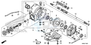 TRX250TME FOURTRAX RECON Europe Direct - (ED) drawing REAR FINAL GEAR