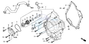 SH300AR drawing RIGHT CRANKCASE COVER/ WATER PUMP