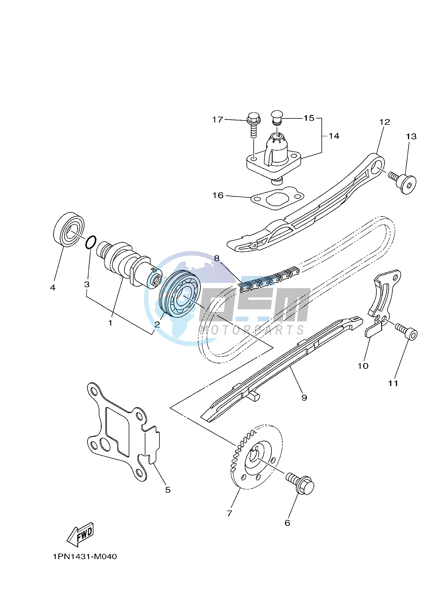 CAMSHAFT & CHAIN