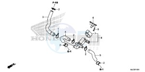 CBR650FE CBR650FE 2ED - (2ED) drawing AIR INJECTION CONTROL VALVE