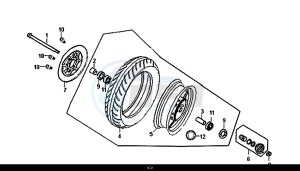 ORBIT II 50 (25 KM/H) (AE05W8-NL) (L8-M0) drawing FRONT WHEEL