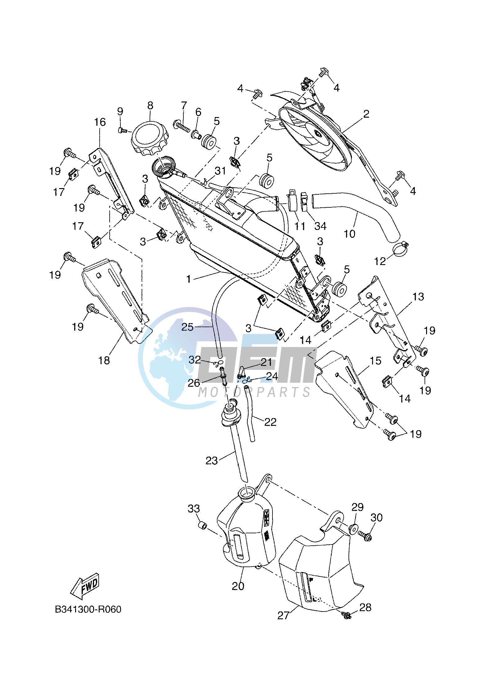 RADIATOR & HOSE