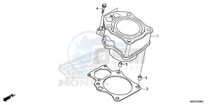 TRX420FM1F TRX420 Europe Direct - (ED) drawing CYLINDER