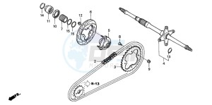 TRX300EX SPORTRAX drawing REAR WHEEL AXLE/ DRIVE CHAIN