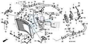 CBR600RRA F / CMF drawing RADIATOR