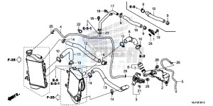 CRF1000AG CRF1000 - Africa Twin - ABS Europe Direct - (ED) drawing RADIATOR HOSE