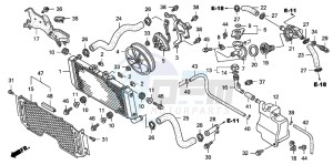 CB1300A CB1300SUPER FOUR drawing RADIATOR (CB1300/S)