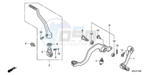 CRF150RB9 Australia - (U) drawing PEDAL/KICK STARTER ARM