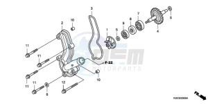 CRF150RB9 Europe Direct - (ED / T19 2ED) drawing WATER PUMP