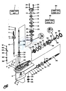 50ETN drawing LOWER-CASING-x-DRIVE-1