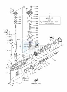 F175AETL drawing PROPELLER-HOUSING-AND-TRANSMISSION-1