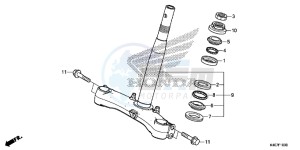 NSS125ADF Forza 125 - NSS125AD UK - (E) drawing STEERING STEM