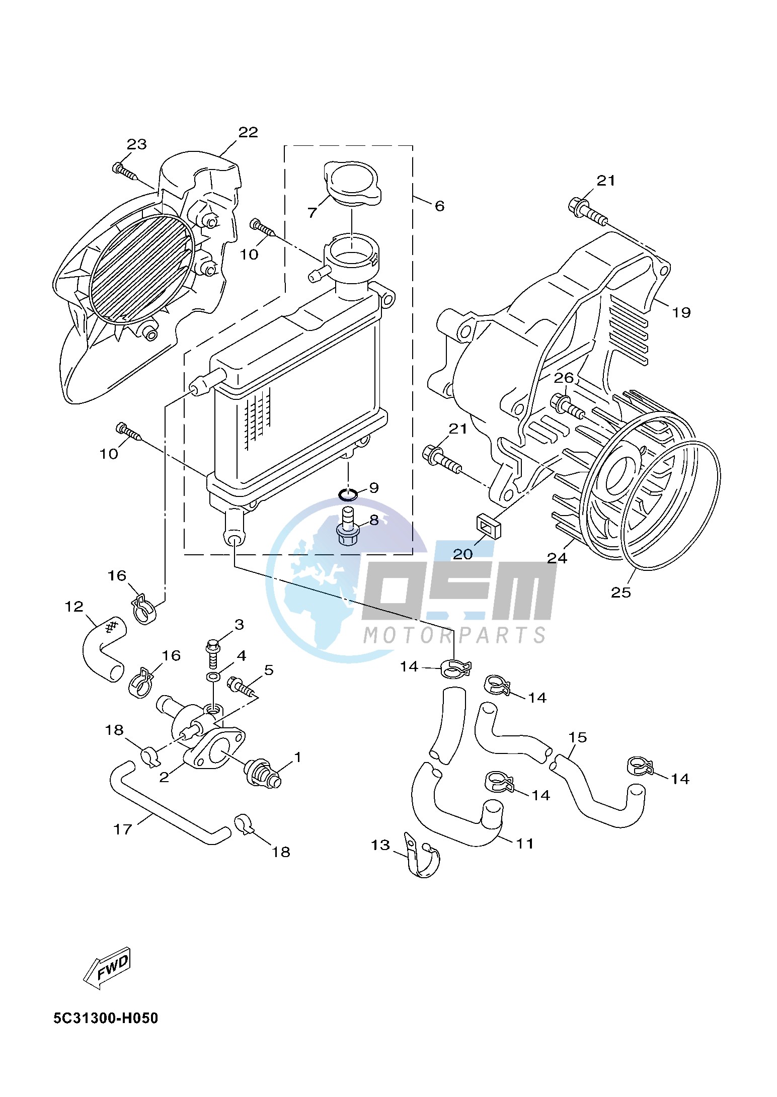 RADIATOR & HOSE