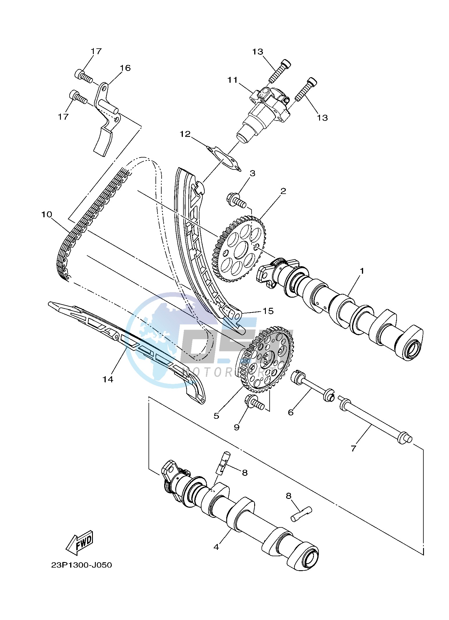 CAMSHAFT & CHAIN