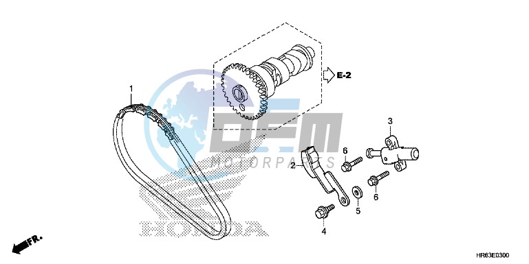 CAM CHAIN/TENSIONER