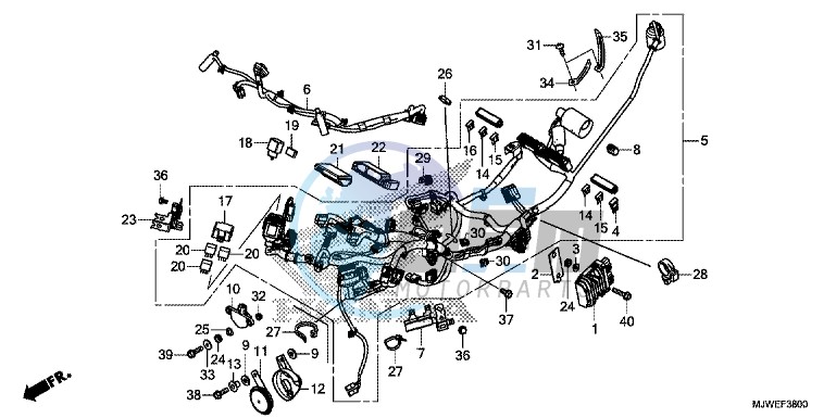 WIRE HARNESS