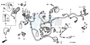 SH1259 ED / 2ED drawing WIRE HARNESS