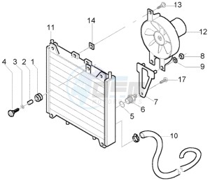 Beverly 250 (USA) USA drawing Radiator coolant