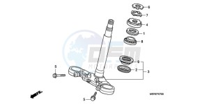 CBF600NA9 France - (F / ABS CMF) drawing STEERING STEM