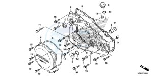 CRF250XD CRF250R Europe Direct - (ED) drawing RIGHT CRANKCASE COVER