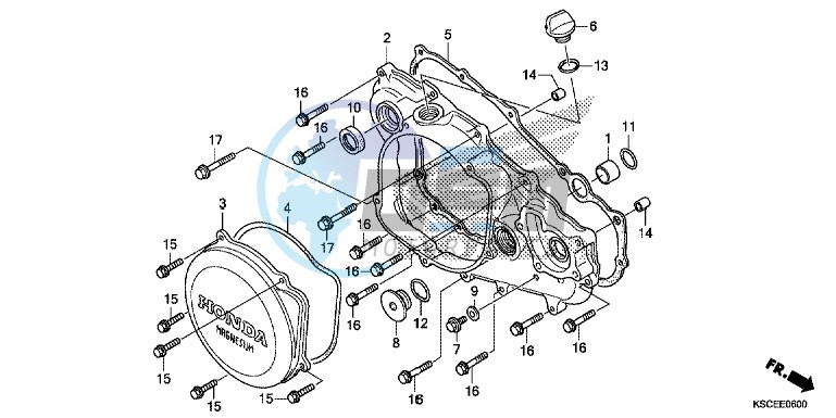 RIGHT CRANKCASE COVER