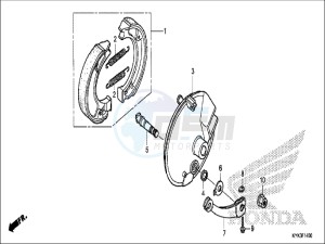 CRF110FH Europe Direct - (ED) drawing FRONT BRAKE PANEL