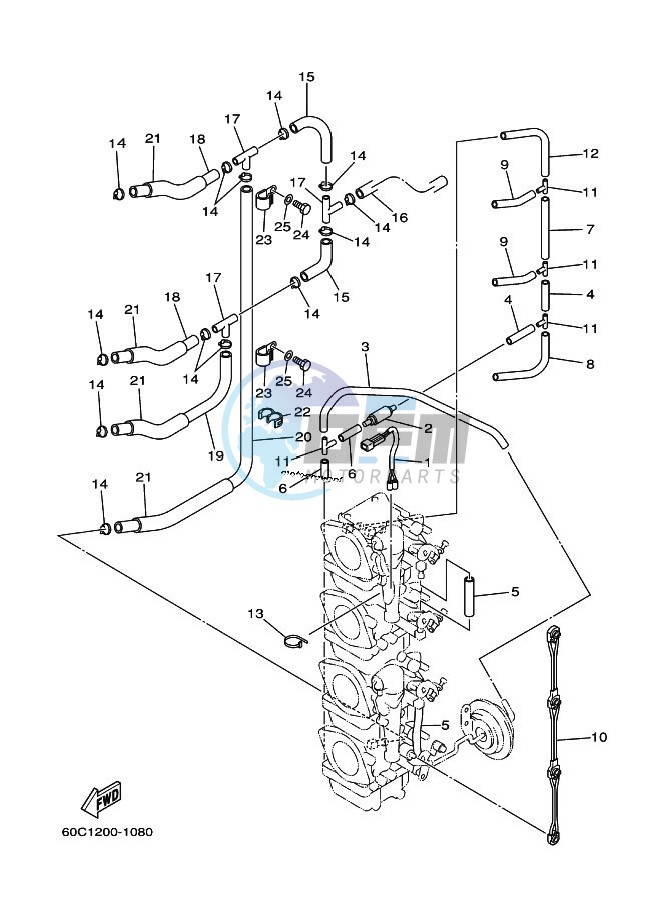 CARBURETOR-2