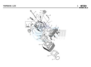 RS2 NAKED PRO 125 drawing T01  CYLINDER