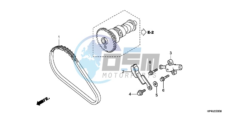 CAM CHAIN/TENSIONER