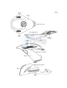 NINJA_ZX-6R ZX636EEF FR GB XX (EU ME A(FRICA) drawing Decals(Black)