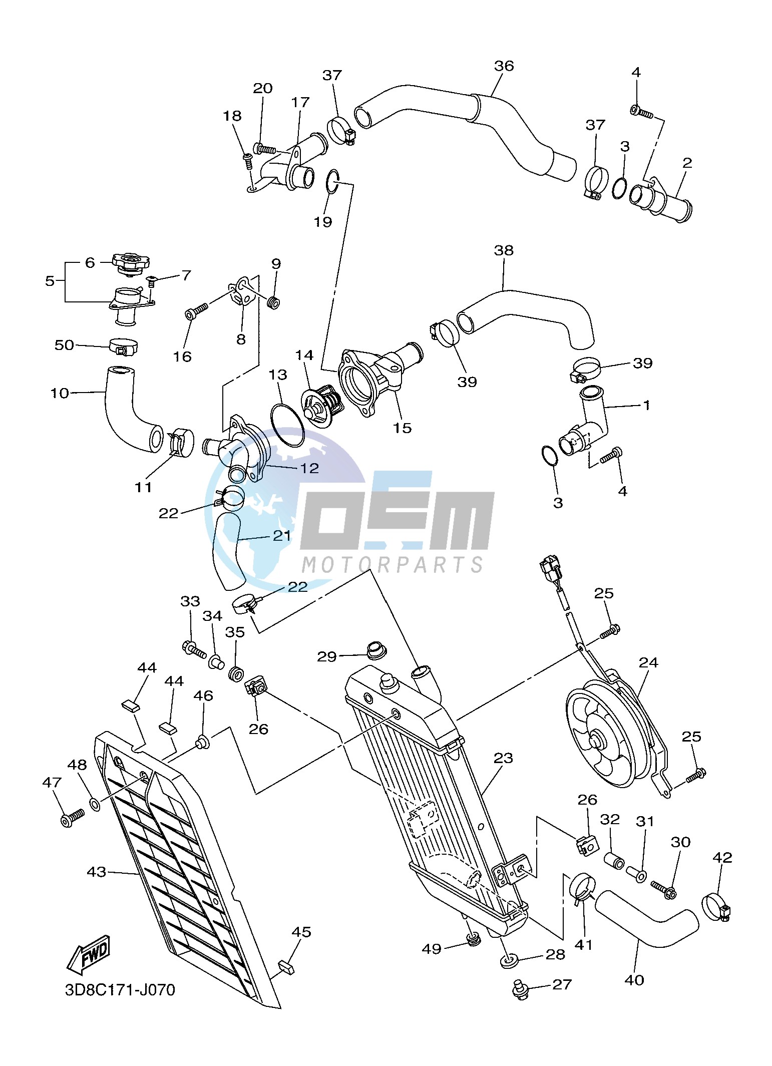 RADIATOR & HOSE