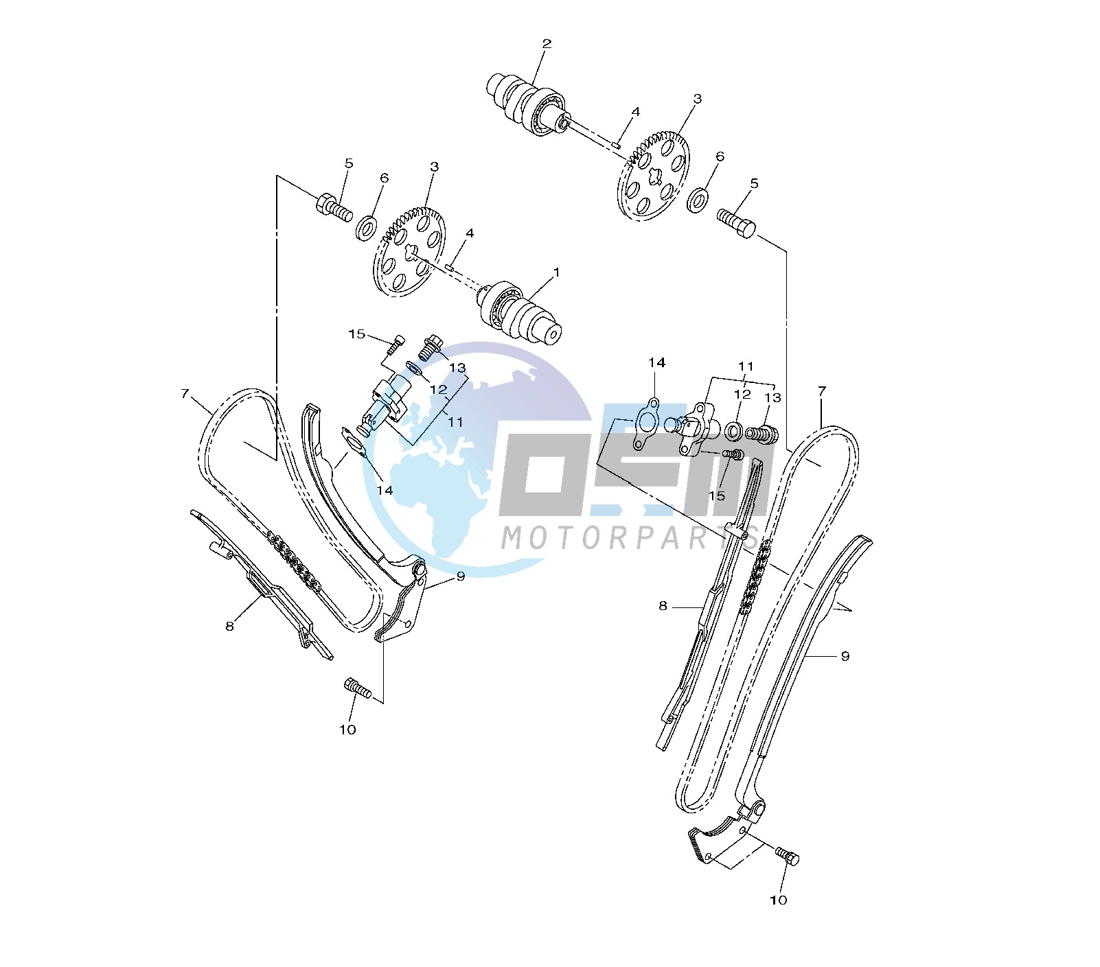 CAMSHAFT AND TIMING CHAIN