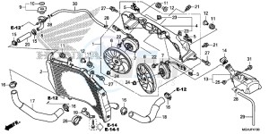 VFR1200XD Europe Direct - (ED) drawing RADIATOR