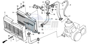 NSR125F drawing RADIATOR