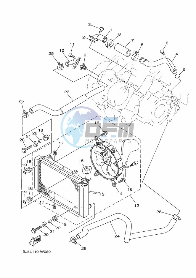 RADIATOR & HOSE