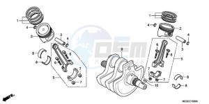 VT750CA9 Australia - (U / ST) drawing CRANKSHAFT