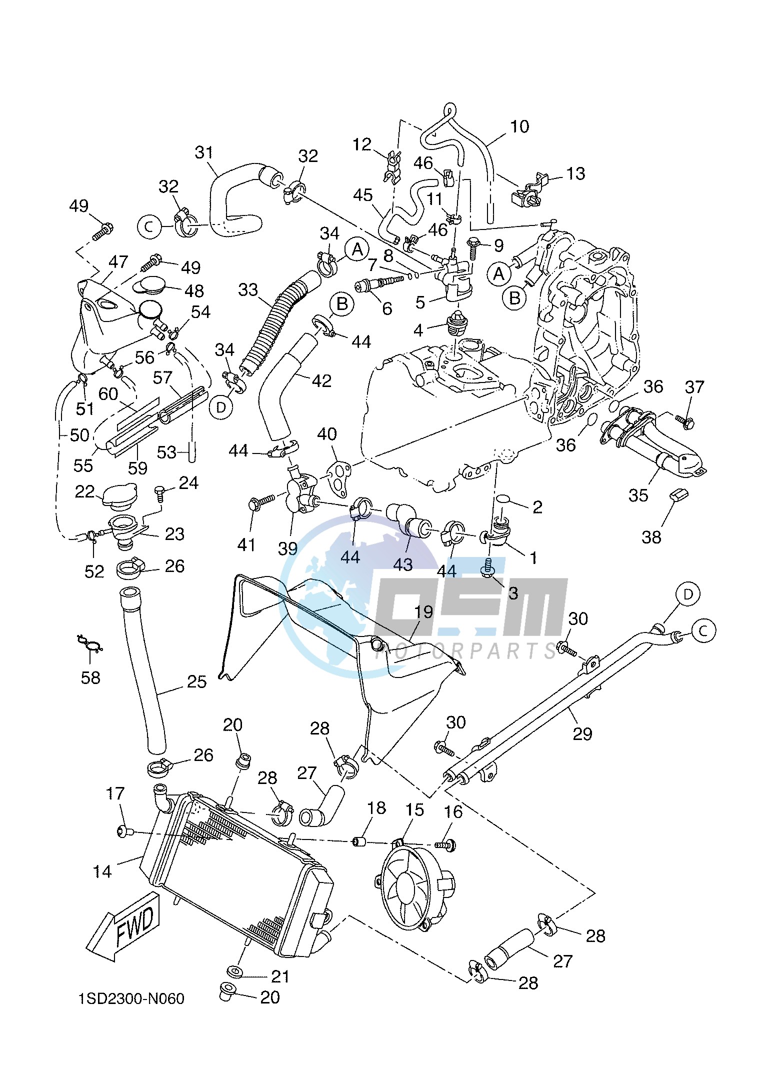 RADIATOR & HOSE