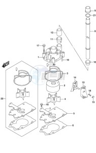 DF 250 drawing Water Pump SS Model