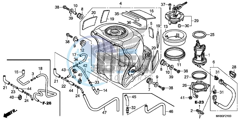 FUEL TANK/ FUEL PUMP